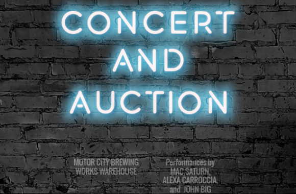 FBD Auction and Concert 2019 (1)